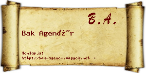 Bak Agenór névjegykártya